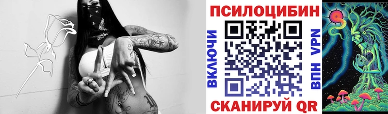Купить закладки  Уварово  Псилоцибиновые грибы Magic Shrooms 